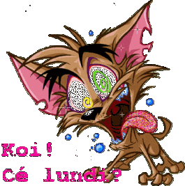 Gif animé Bon lundi chat